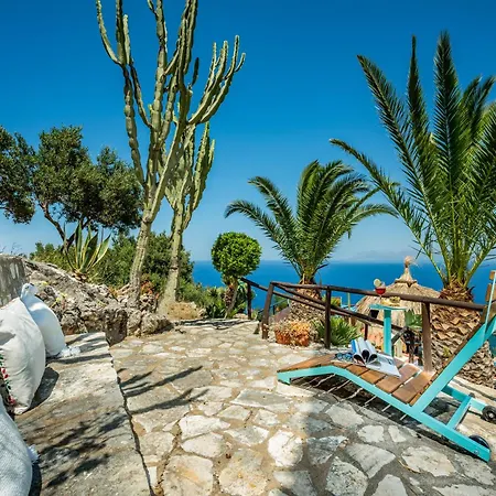 Palma Dello Zingaro